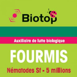 Fourmis - Nématodes Sf - 5 millions