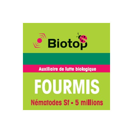 Fourmis - Nématodes Sf - 5 millions