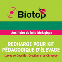 Recharge pour kit pédagogique d'élevage - Larves de coccifly, Coccilaure ou Chrysope