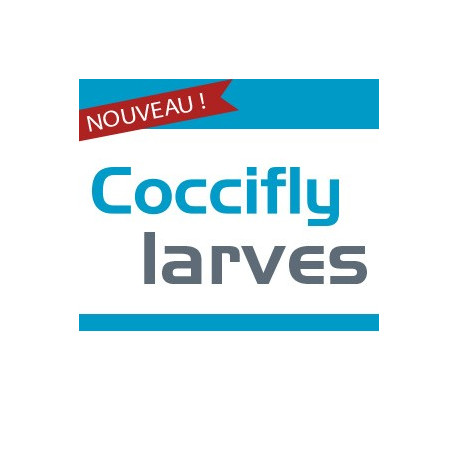 Coccifly larves - 350 larves de coccinelles Adalia bipunctata