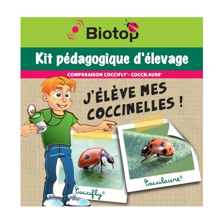 Kit pédagogique d'élevage d'insectes - Coccifly/Coccilaure