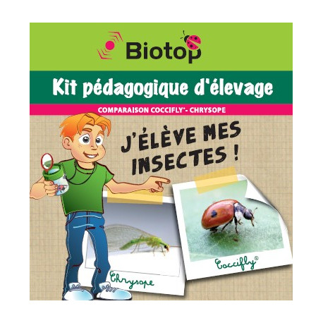 Kit pédagogique d'élevage d'insectes - Coccifly/Chrysope