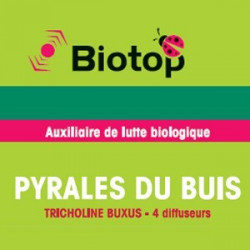 Pyrales du buis - Tricholine Buxus - 4 diffuseurs
